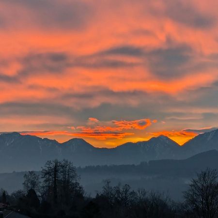 Am Eichholz Galerie & Art-Hotel Murnau am Staffelsee Bagian luar foto